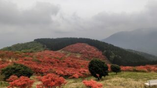 05.12 ツツジに染まる大和葛城山 05.12 ツツジに染まる大和葛城山