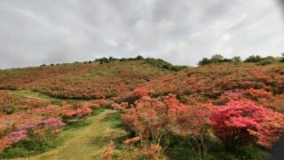 5.19 大和葛城山 5.19 大和葛城山