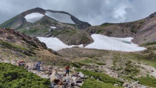 白山 いま花盛り 白山 いま花盛り