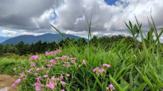 大和葛城山 大和葛城山