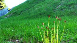 山友を偲ぶ 山友を偲ぶ