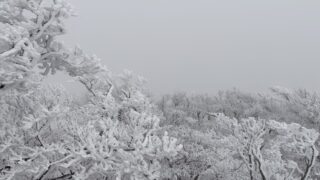 霧氷樹氷高見山