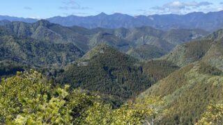 熊野古道をゆく 熊野古道をゆく