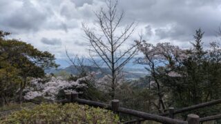 お花見ハイキング お花見ハイキング