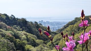 春山ボッカトレーニング 春山ボッカトレーニング