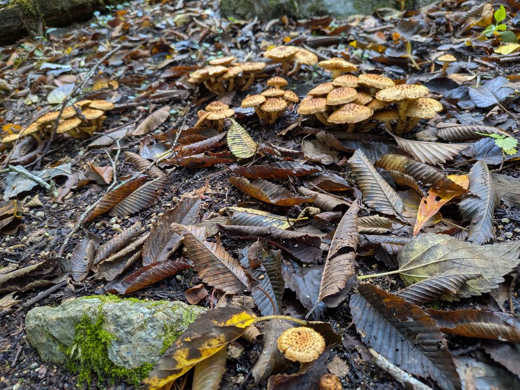 16364