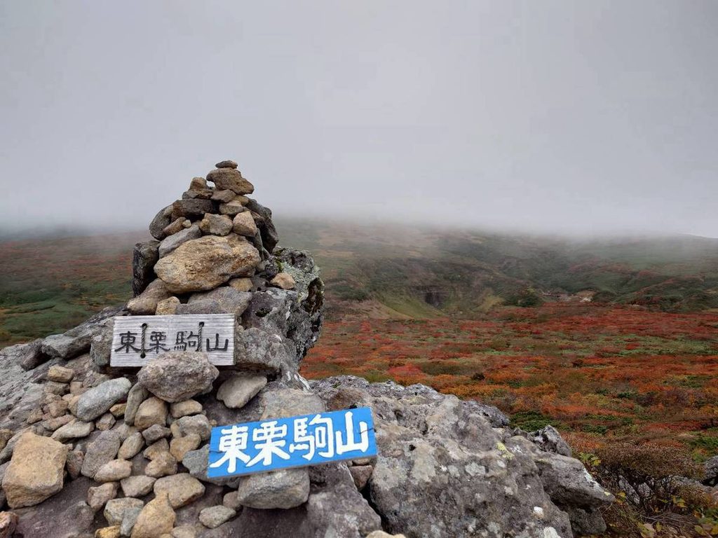 栗駒山(神の絨毯) 1791767578944 6