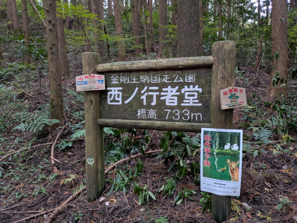 ひとりダイトレ f145439c 4bb6 4482 b1b4 e1cebadefba6 1 all 59386